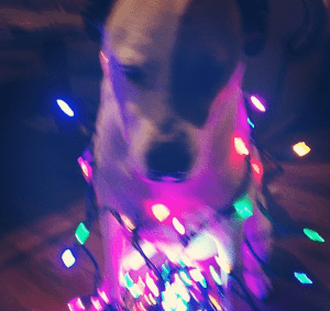 Screen Shot 2012-12-09 at 1.22.51 PM