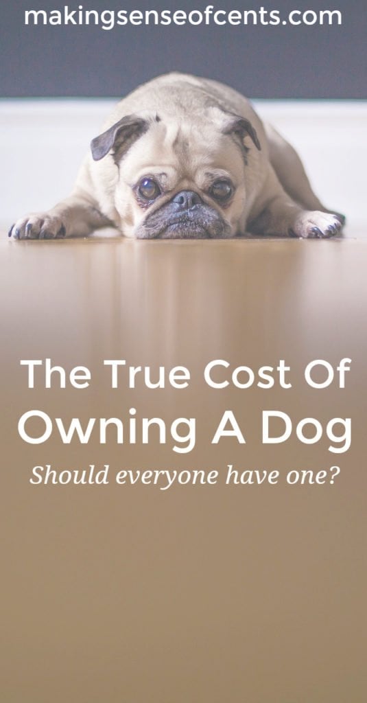 Owning a dog or other pet is a lot of work and even a lot of money. Before you jump into pet ownership, you should fully think about the responsibility.